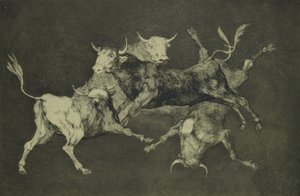 Folly of the Bulls, from the Follies Series, c.1815-24 by Francisco de Goya